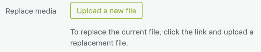 Screenshot of Replace Media item in Edit Media view.